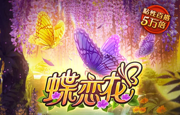 华体会综合体育娱乐