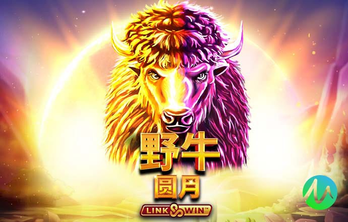 幸运彩票手机版安卓版