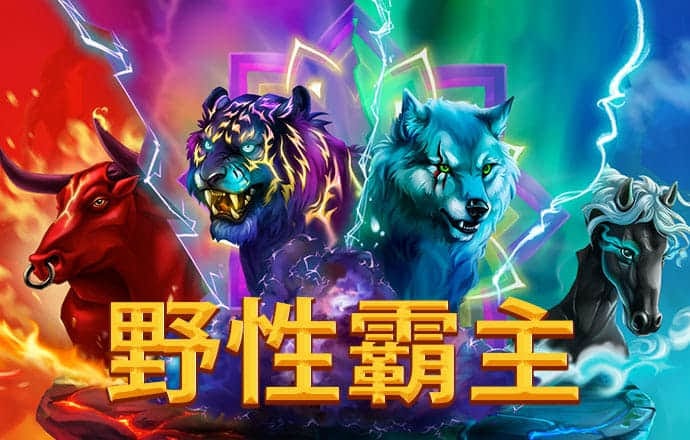 天下彩944cc